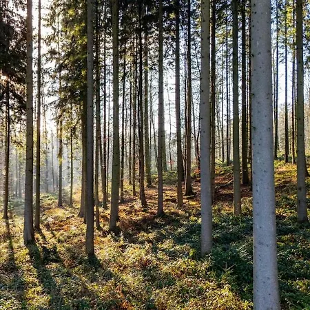 Villa Rueckzugsort Foersterei - Naturnah Kletkamp